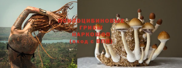 метадон Пересвет