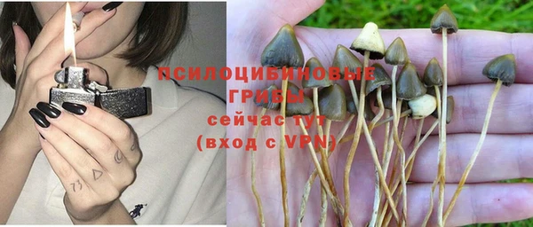 метадон Покачи