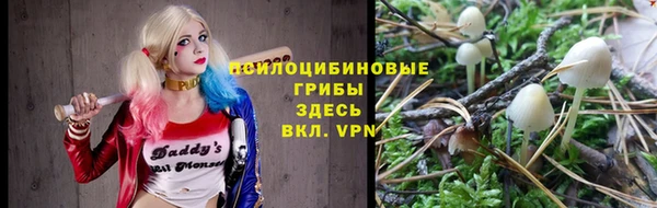 прущий лед Пестово