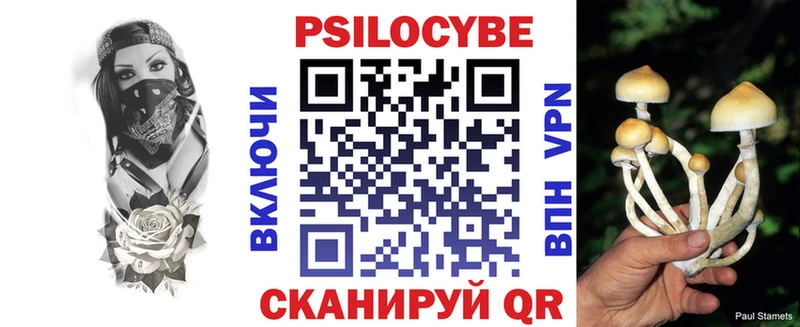 Галлюциногенные грибы Psilocybine cubensis  Бузулук 