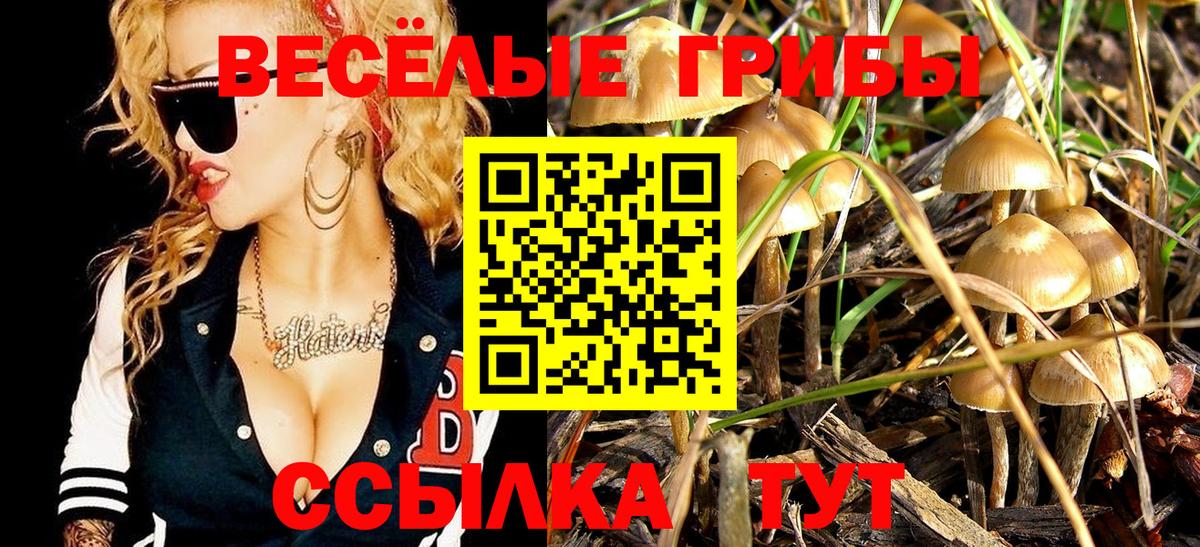 Метамфетамин Бузулук