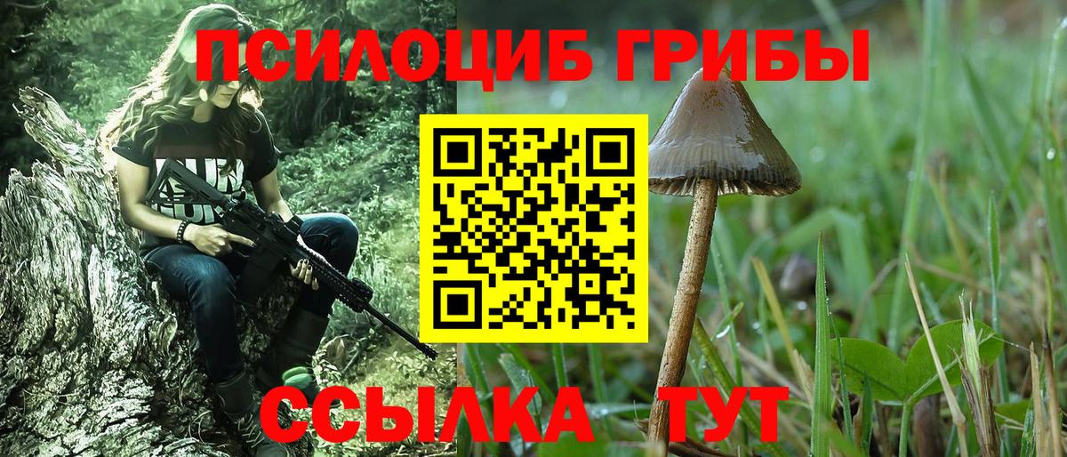 Псилоцибиновые грибы ЛСД  Псилоцибиновые грибы Psilocybe  Бузулук 