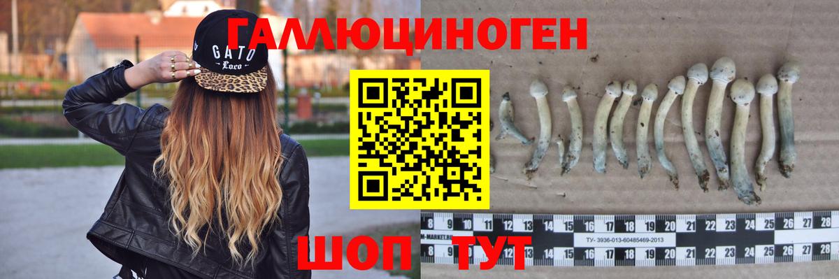 Псилоцибиновые грибы мухоморы Бузулук